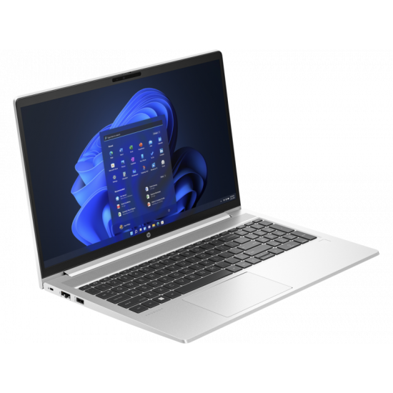 HP ProBook 450 G10 85D05EA